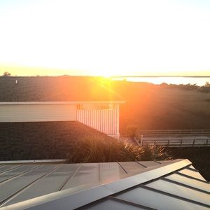 Meet your Posher, Sophie